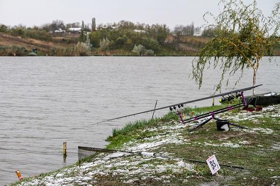 Jurnalul lui gor965: Iarna nu-i ca ... grila!